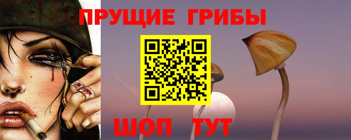 Галлюциногенные грибы Psilocybe Магнитогорск